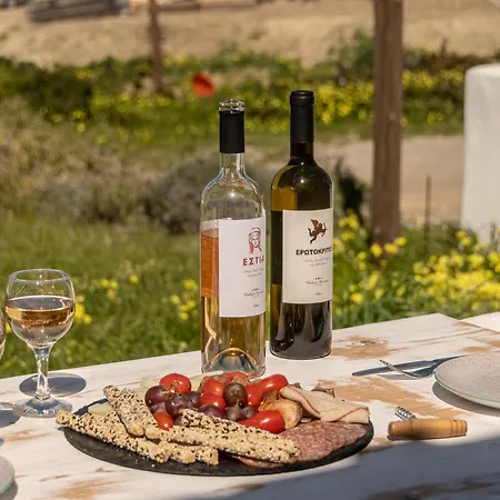 Semesterbostad Touch Naxos Sunset Galanado